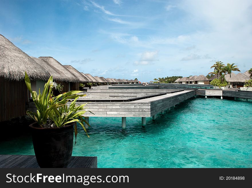 Relax in maldives