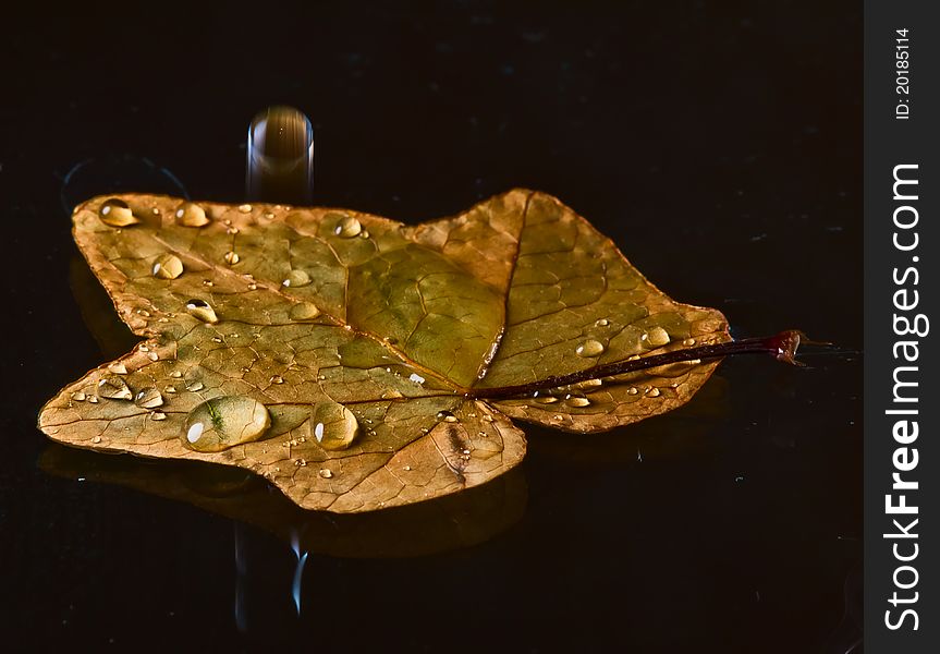 The close-up view that drops of water fell onto a leaves