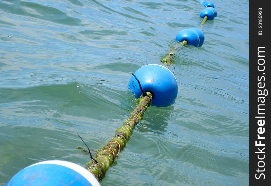 Buoy Floats