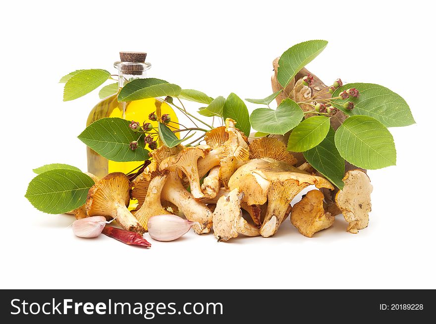 Olive oil and edible mushrooms isolated on white background. Olive oil and edible mushrooms isolated on white background