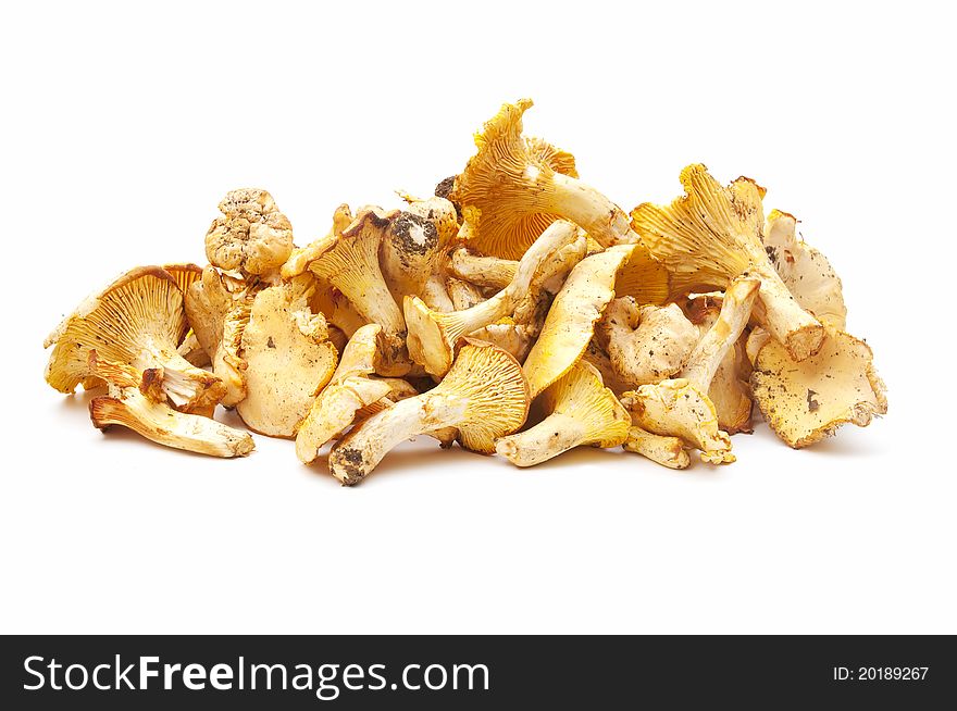 Freshly picked edible mushrooms isolated on white background