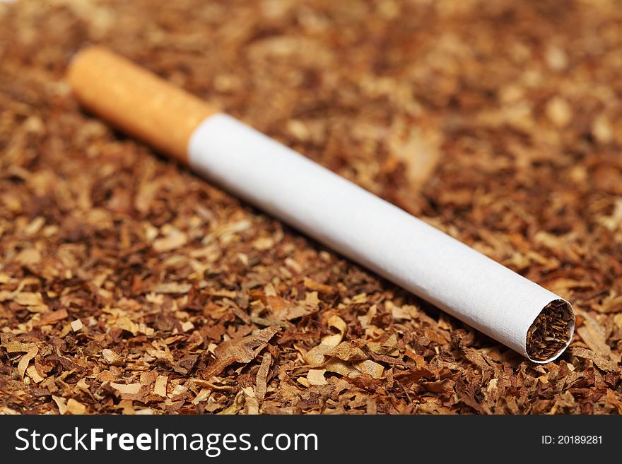 Close Up Of Cigarette On Tobacco