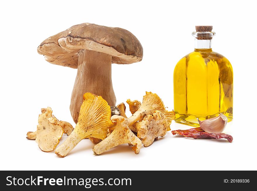 Olive oil and edible mushrooms isolated on white background. Olive oil and edible mushrooms isolated on white background