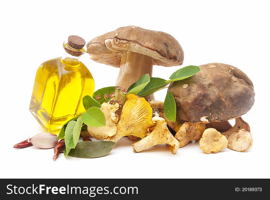 Olive oil and edible mushrooms isolated on white background. Olive oil and edible mushrooms isolated on white background