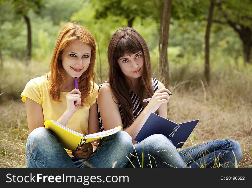 Two girlfriends doing homework at the park.