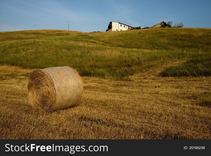 Big round bales of straw in the meadow. Big round bales of straw in the meadow