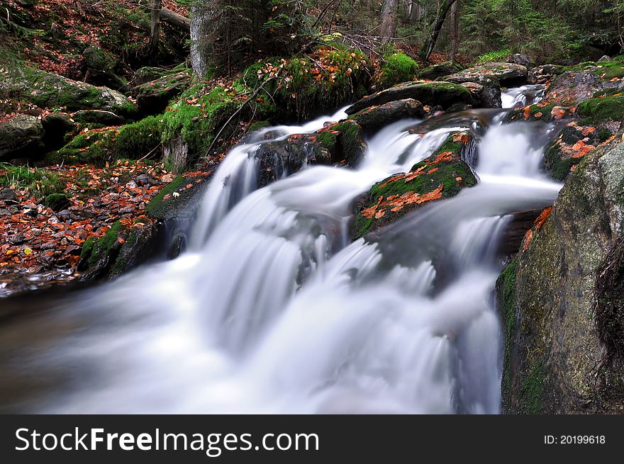 Autumn creek in bohemian forest