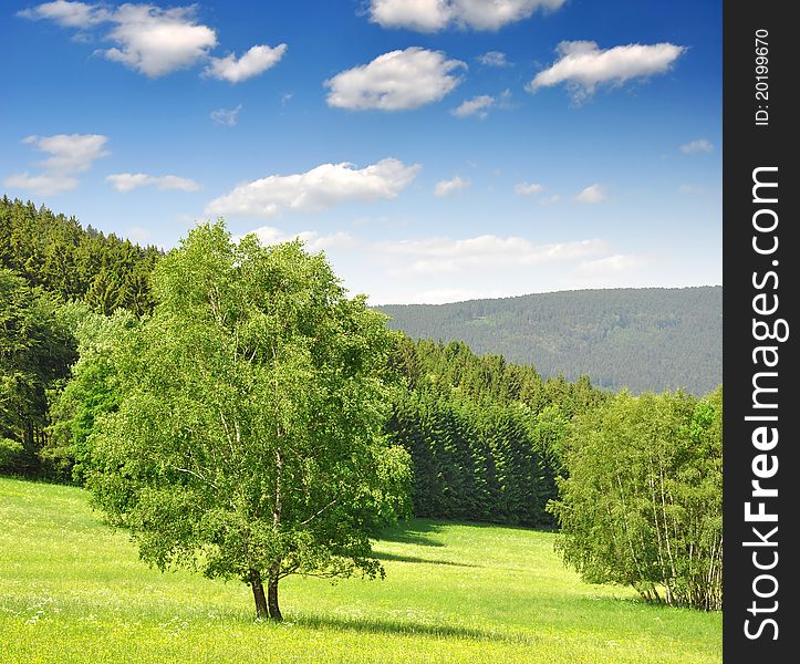 Spring landscape in the national park Sumava - Czech Republic