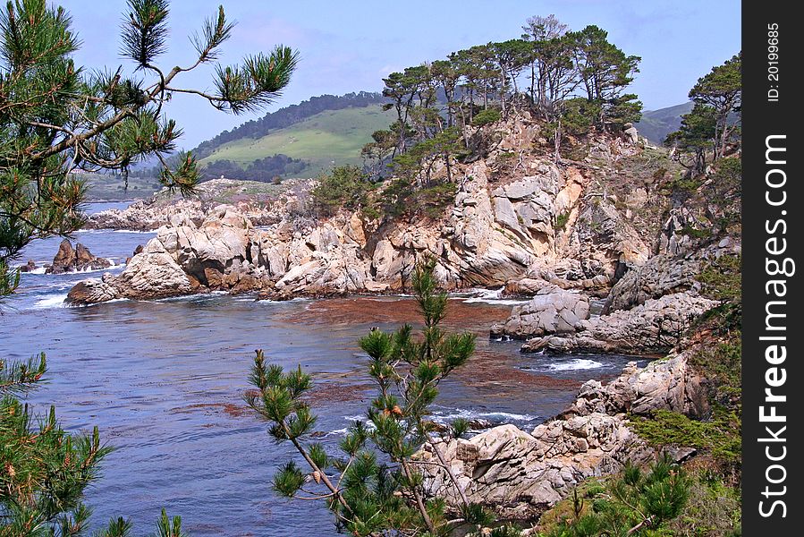 Landscape with ocean and rock. Point Lobos, California.