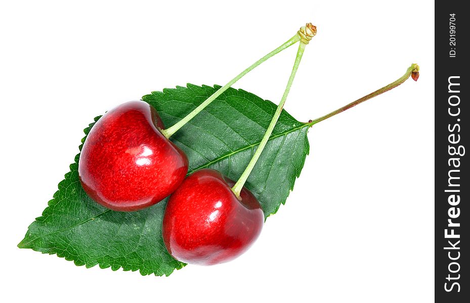 Cherry Isolated On White