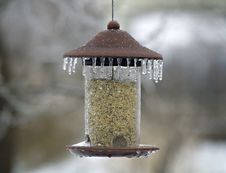 Icy Bird Feeder Royalty Free Stock Images