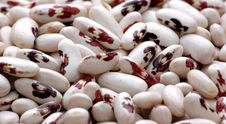 Kidney Bean5 Royalty Free Stock Photo Kidney Bean5 Royalty Free Stock Photo