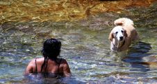 Woman And Her Dog Swimming Royalty Free Stock Photo