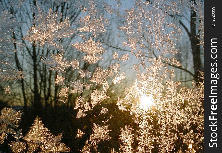 Iceflowers (frost) on window, behind glass - sunrise on cold winter day