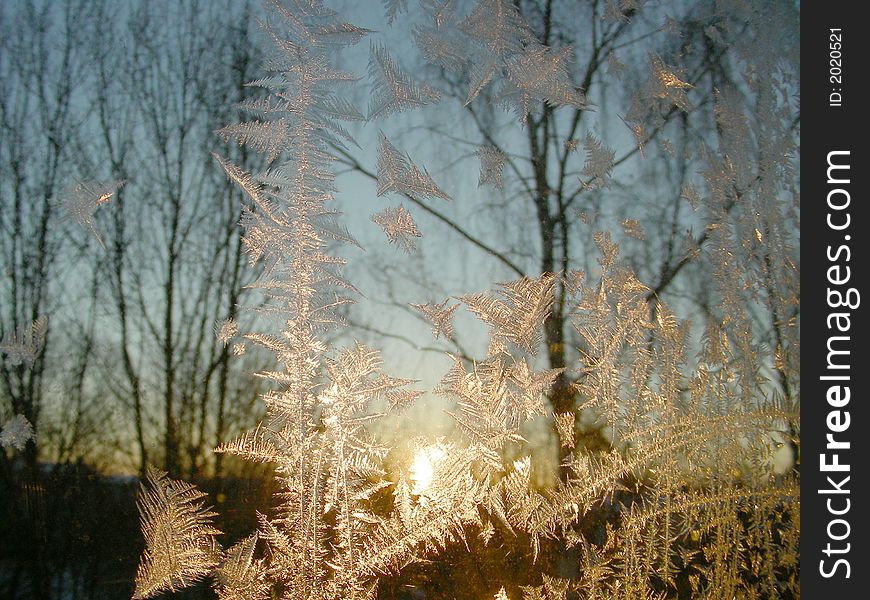 Iceflowers (frost) on window, behind glass - sunrise on cold winter day