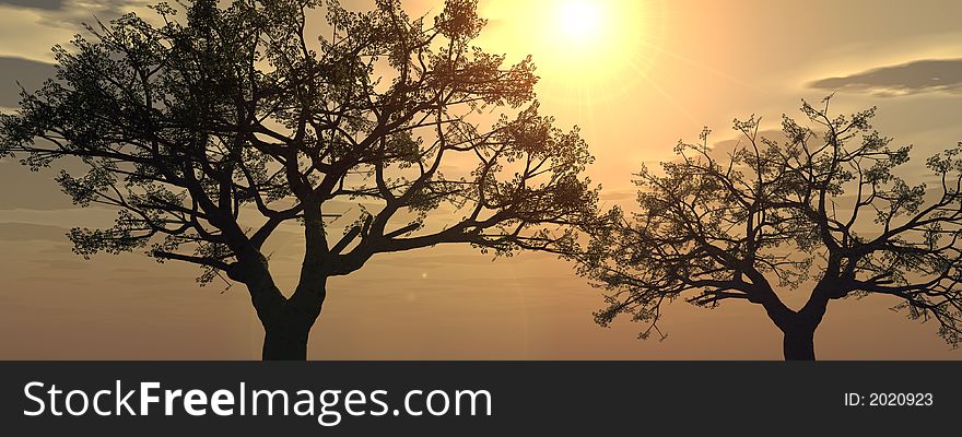 Sunset_Tree