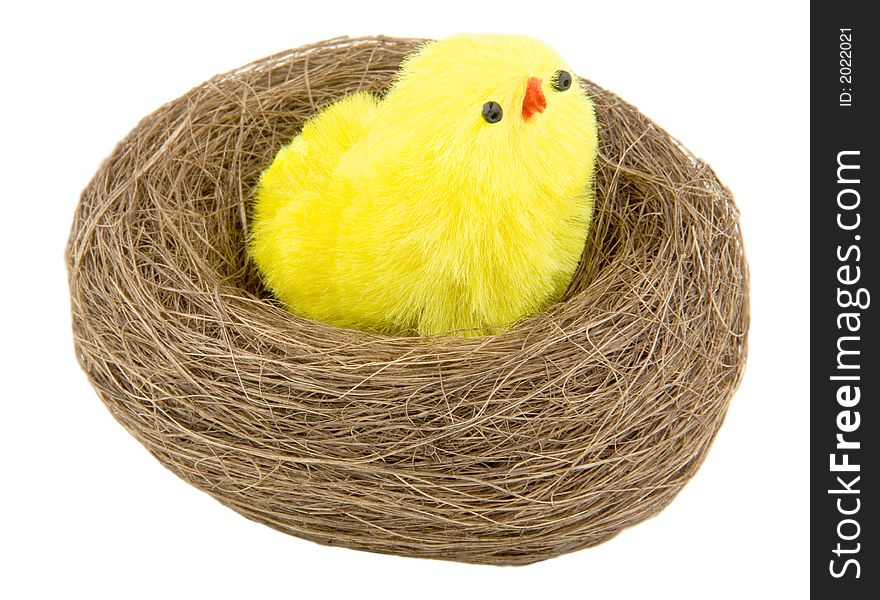 Easter chicks in the nest isolated on white