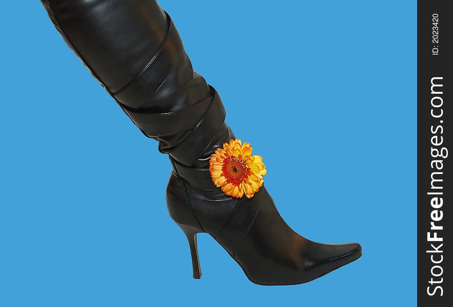 Black long high boot decorated with flower. Black long high boot decorated with flower