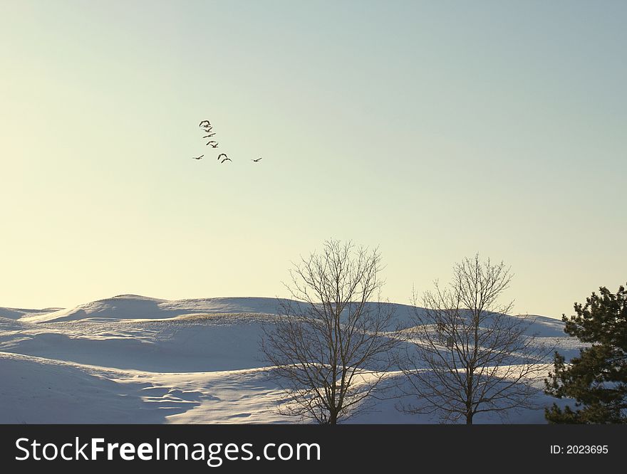 Golf course covered with snow on winter season. Golf course covered with snow on winter season