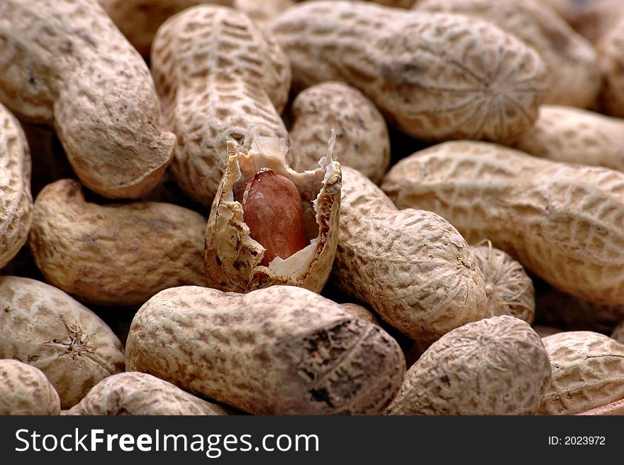 Peanut; fatty; fat; legume; organic; ingredient. Peanut; fatty; fat; legume; organic; ingredient