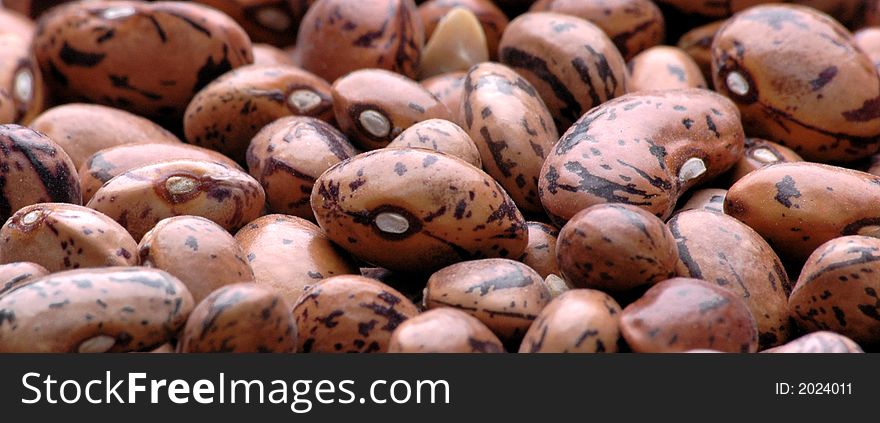 Kidney  Bean3