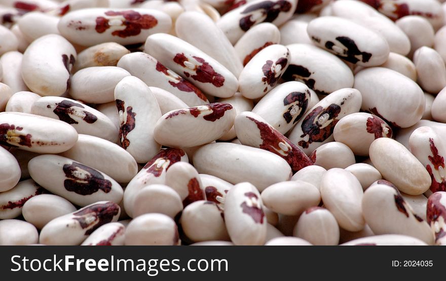 Kidney Bean5