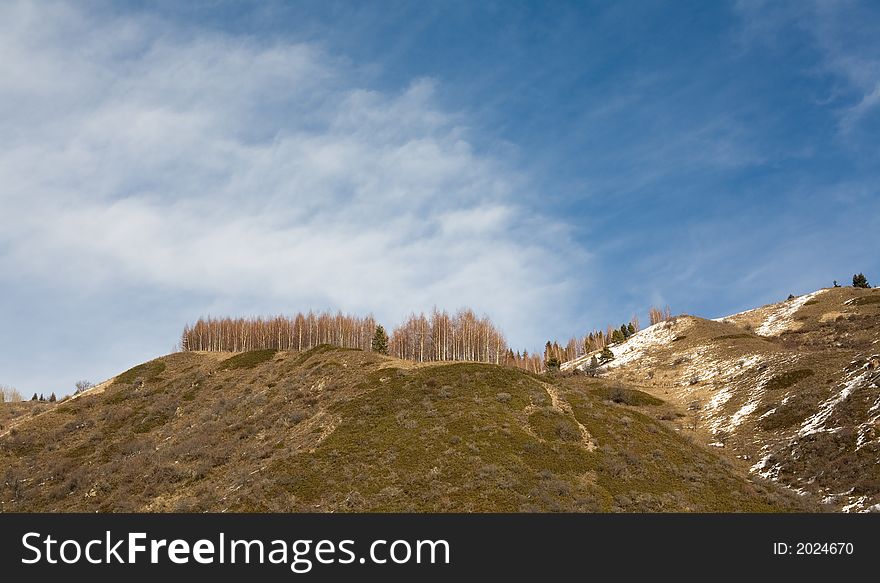 Blue sky, white cloudes, brown grove, green and brown slopes. Blue sky, white cloudes, brown grove, green and brown slopes