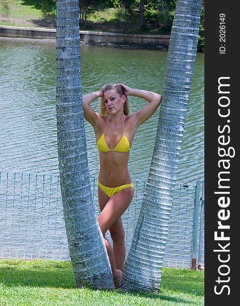A sexy female wearing yellow bikini standing against a palm tree
