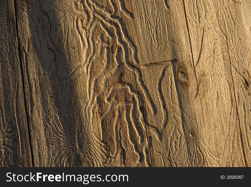 Old wooden texture close up