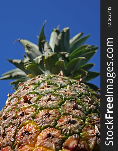 Close up of pineapple on blue sky background
