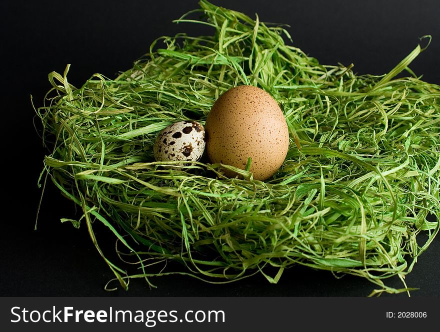 Easter eggs on green hay