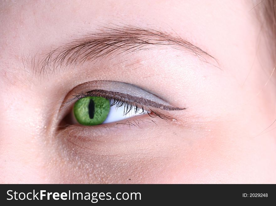 Female eye with long eyelashes close up. Female eye with long eyelashes close up