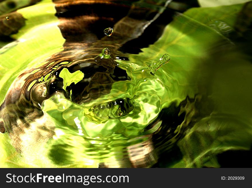 Green Water Texture