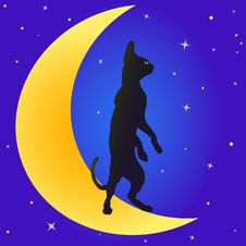 Cat On The Moon Royalty Free Stock Photos Cat On The Moon Royalty Free Stock Photos