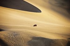 Dune Buggy And Dunes Royalty Free Stock Photography Dune Buggy And Dunes Royalty Free Stock Photography