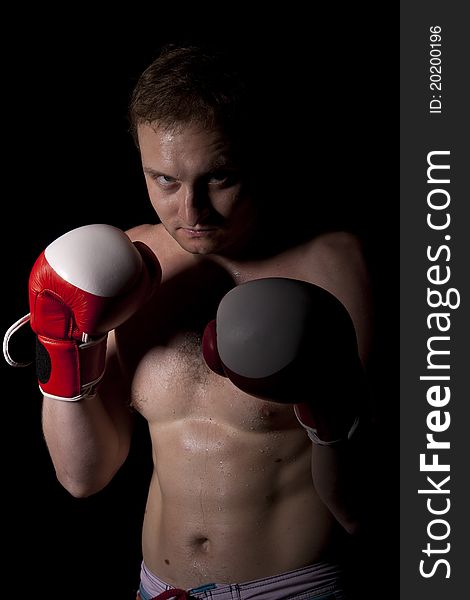 Young Boxer over black background