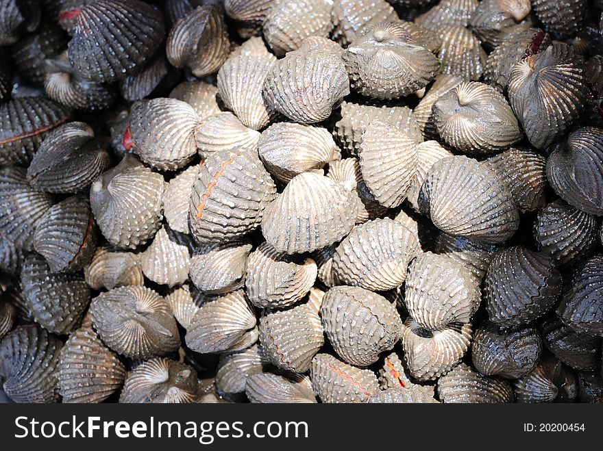 Fresh cockles for sale at a market, sea in thailand