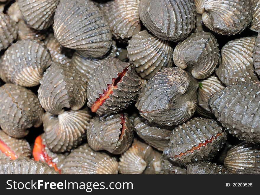 Fresh cockles for sale at a market, sea in thailand
