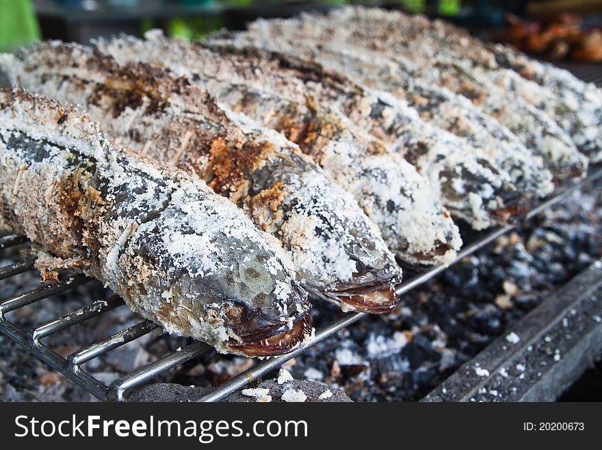 Freshwater fish Grill,Striped snake head fish