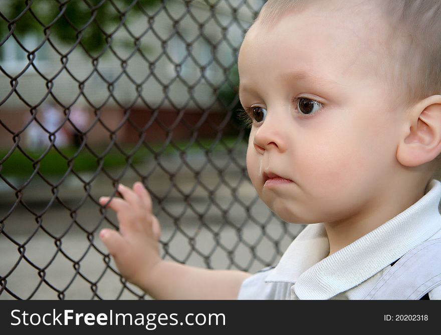 The little boy looks through a mesh fence. Sad eyes. foreground. The little boy looks through a mesh fence. Sad eyes. foreground