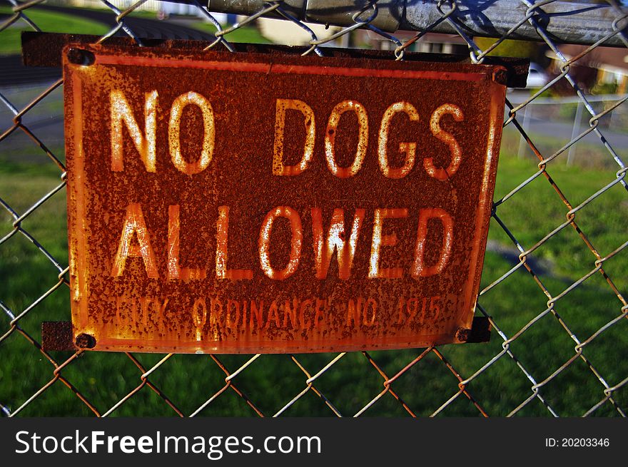 No Dogs Allowed sign posted on a fence.