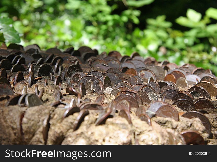Various copper coins embedded into a tree stump with foliage background. Various copper coins embedded into a tree stump with foliage background