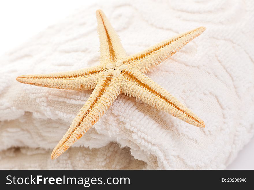 Starfish on soft white towel (close-up)