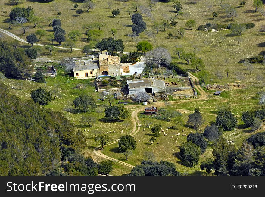Bird's eye view of an agricultural science with house,olive and almond trees. Bird's eye view of an agricultural science with house,olive and almond trees