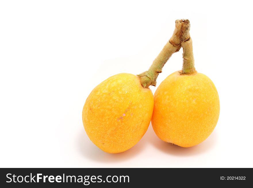 This is a picture of loquats