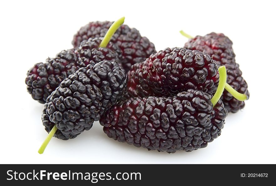 Sweet Mulberry