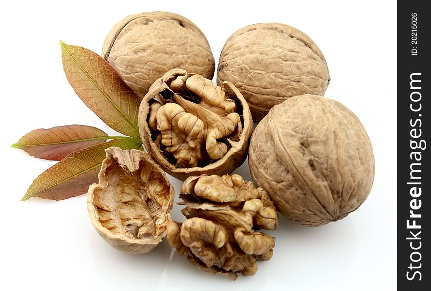 Dried walnut with leaf close up