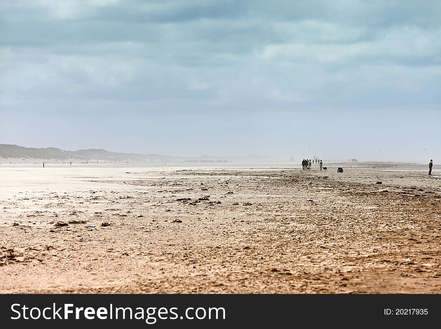 Ethereal landscape of a beach during sand storm