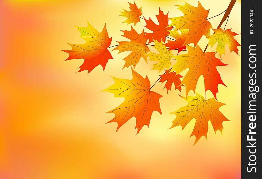 Vector illustration of orange autumn leaves