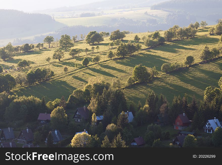 Hilly landscape with trees in late afternoon